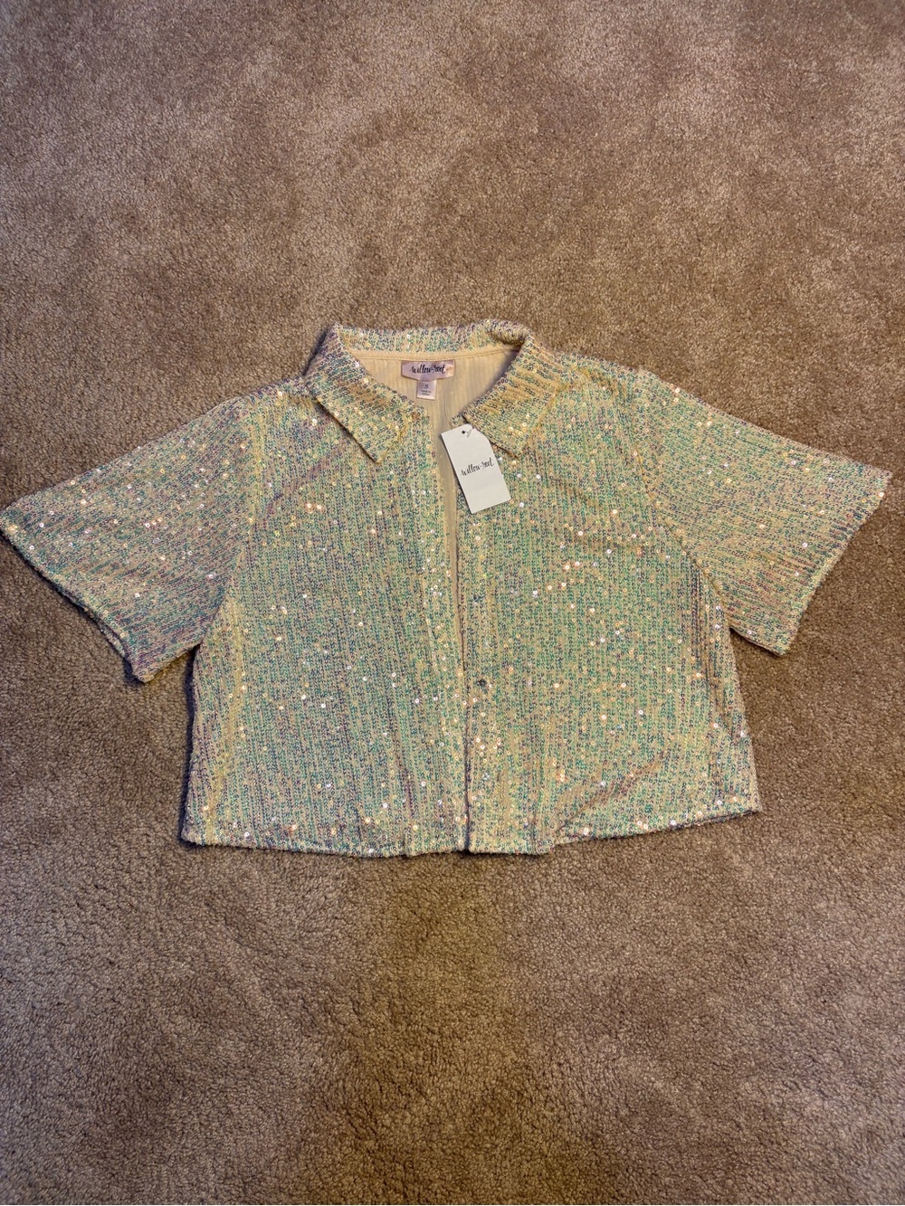 Iridescent Sequin Cropped Button-Down Shirt